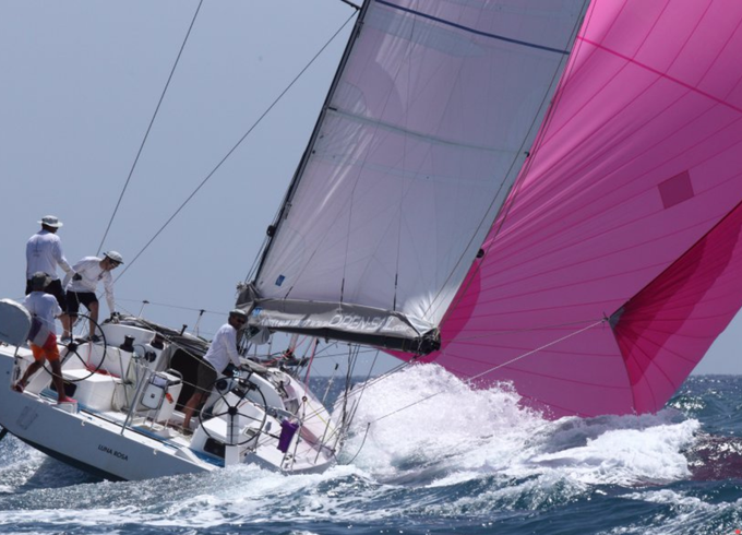 Sailboat Pogo 