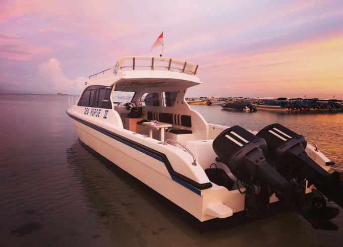 Luxury Private Motor Yacht Sea Horse
