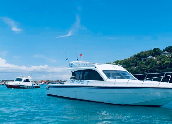 Luxury Private Motor Yacht Sea Horse