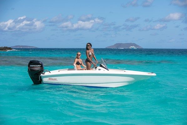 Boston Whaler