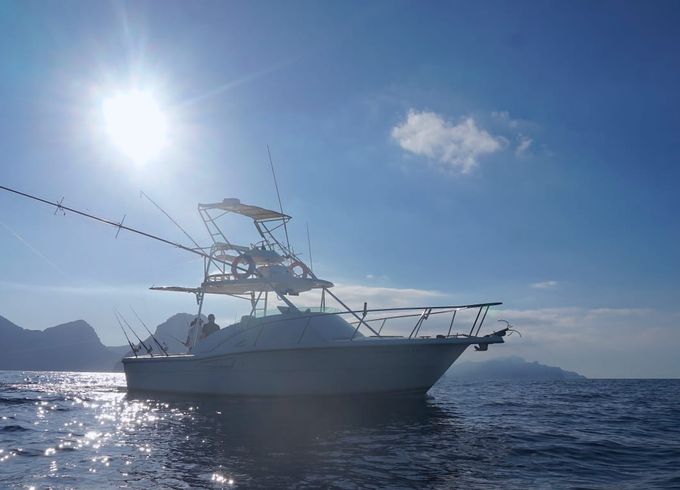 PURSUIT OFFSHORE 3000