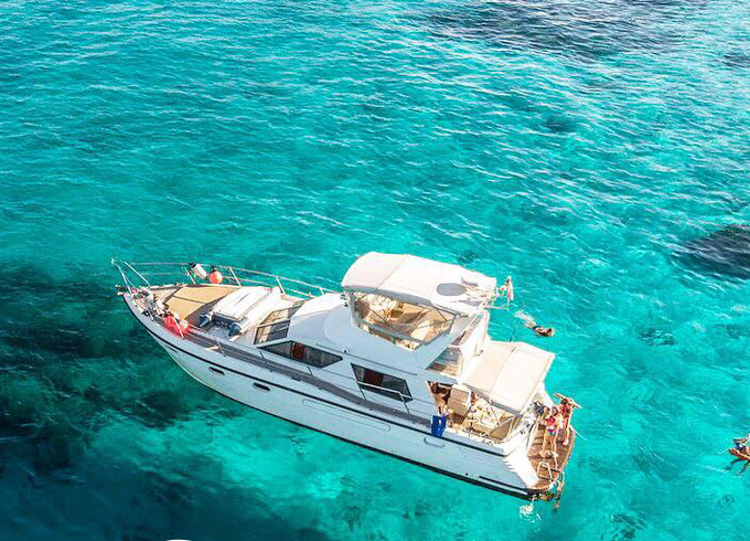 Sea Hawk