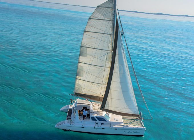 Paradise Explorer