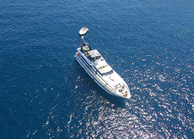 Maiora 74