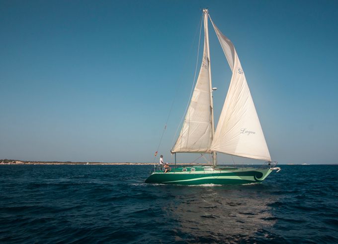 Sara of the Sea