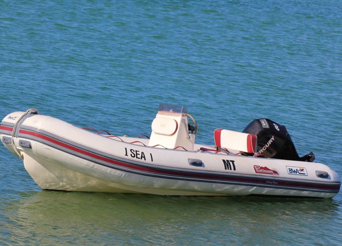 Isea RIB
