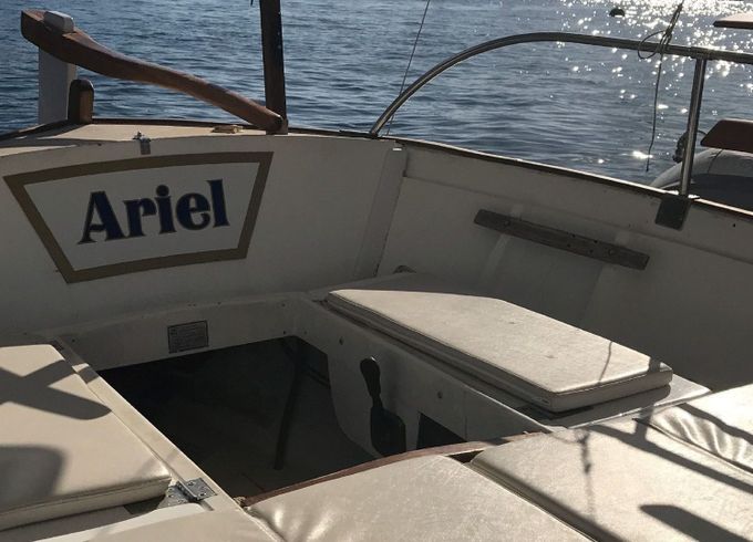 Ariel