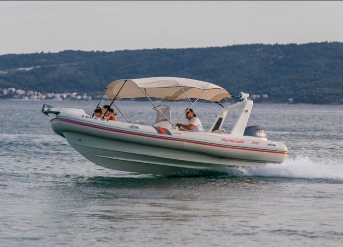 Barracuda 590