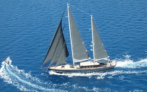 Rox Star