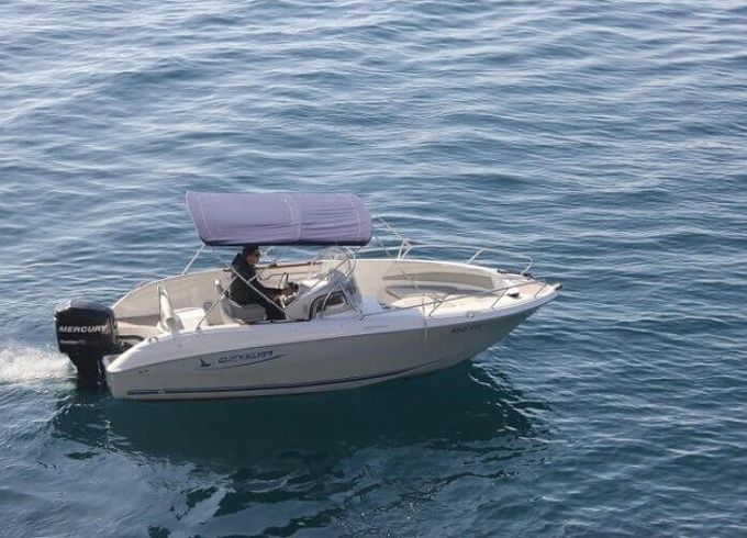 Quicksilver Commander 600