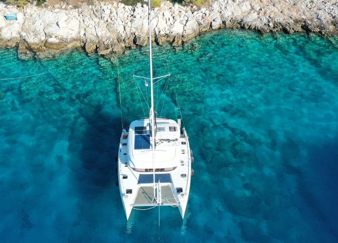 Alima