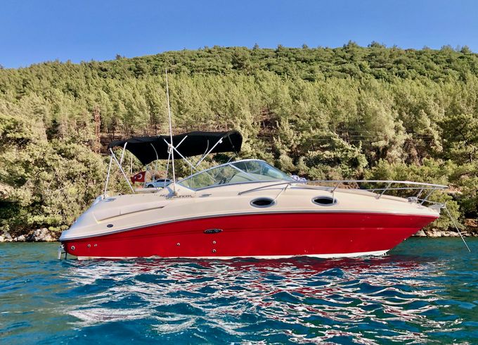 Sea Ray Sundancer 240