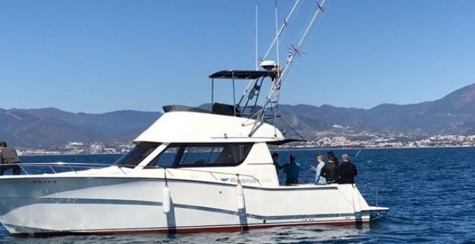 RODMAN 12.5 FLYBRIDGE