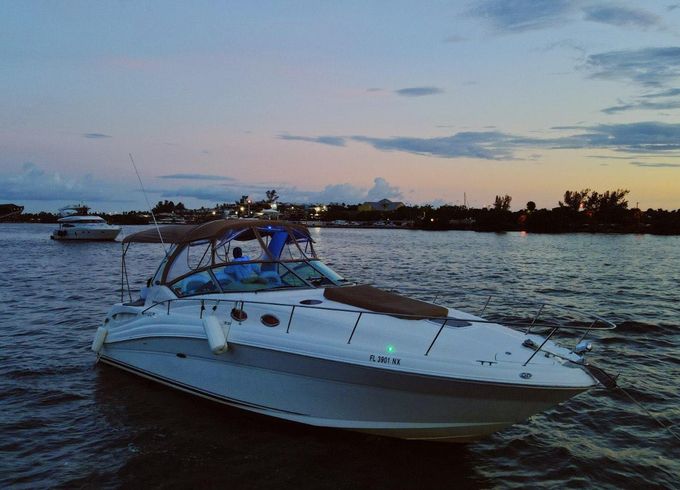 Miami Boss