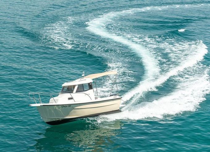 Fortis 590C