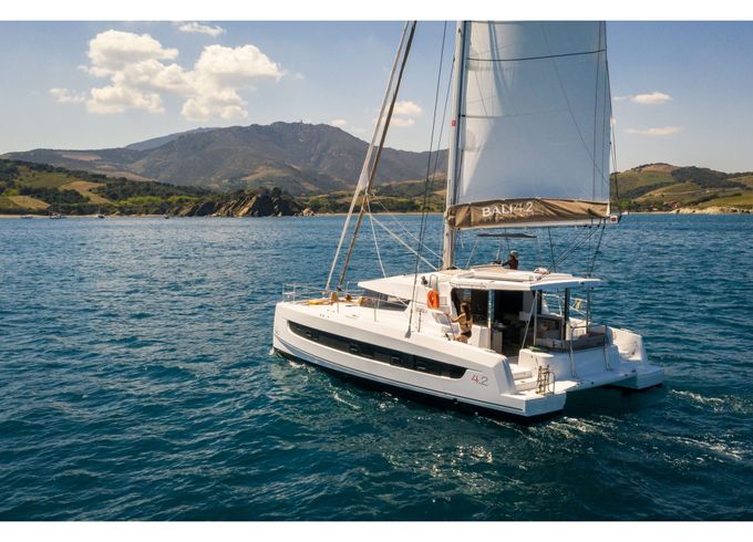 North Cat 42 - Model 2023! 