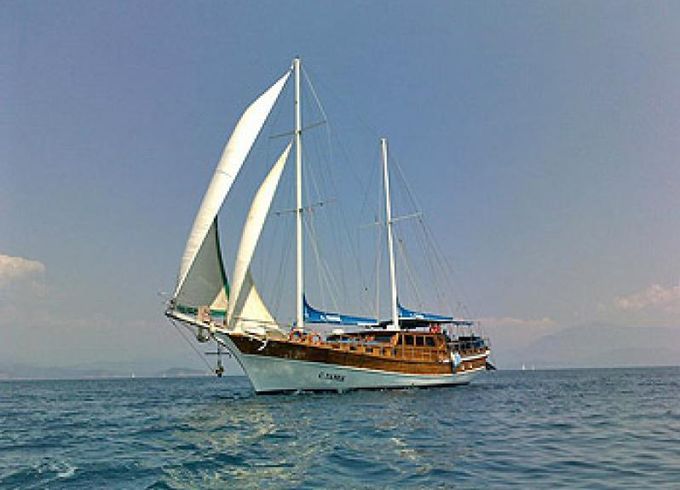 C. TANER