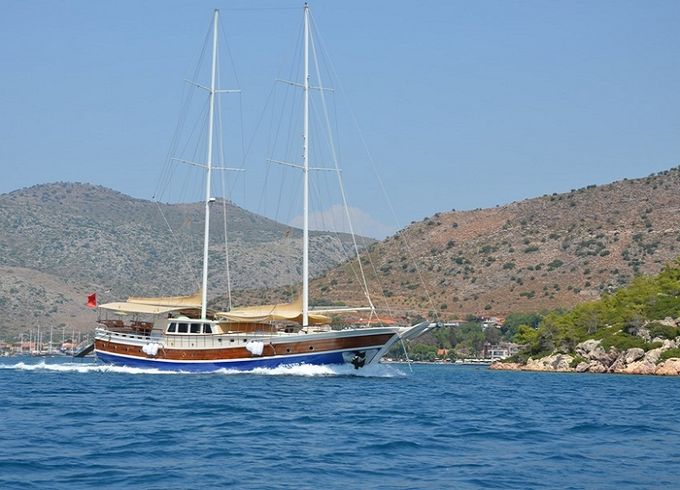 C. TANER 2