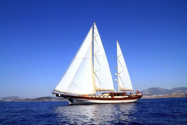 ESTRELLA DE MAR