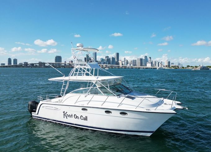 Miami Catamaran