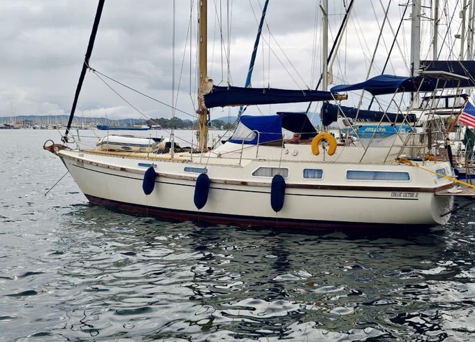 Colvic Victor 41