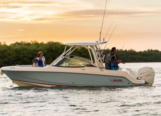 Boston Whaler 240 Vantage