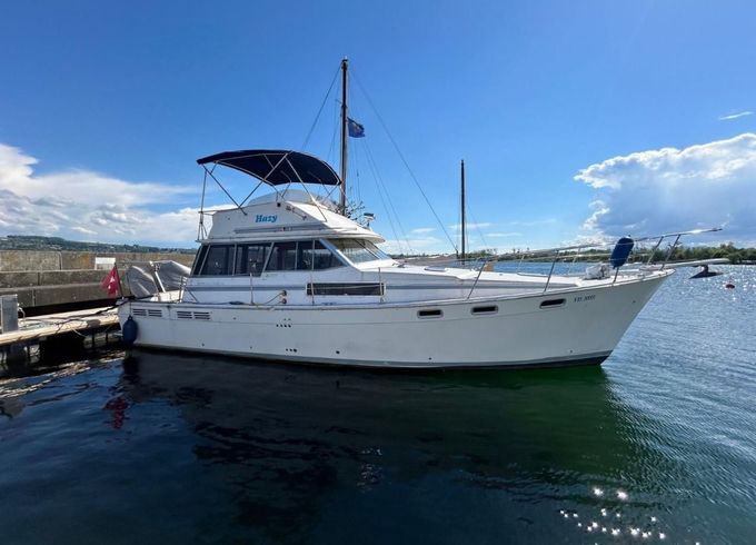 Bayliner 3888