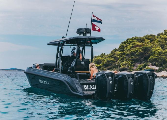 Swiss Cat 31