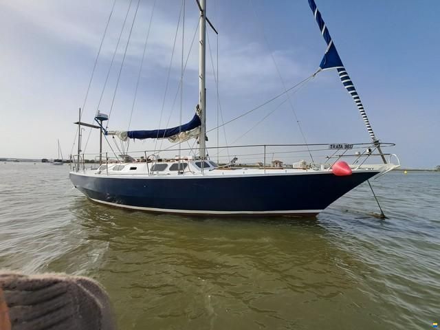 Custom boat