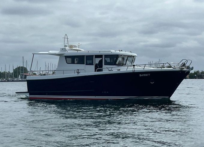 Sargo 36