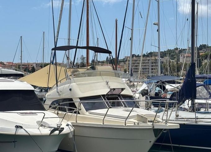 ARS Mare RS29
