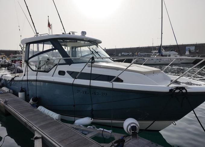 Boston Whaler Conquest 325