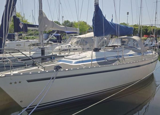 Dynamic 37