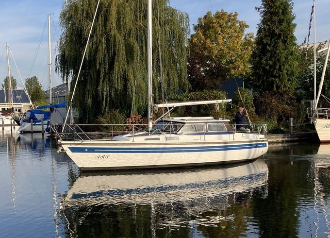Sirius 31 DS
