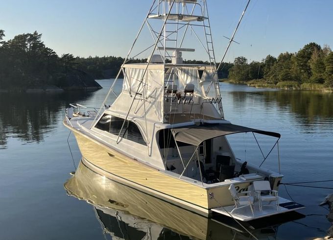 48 Sport Fish