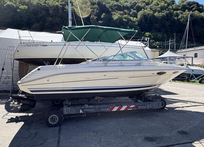 Sea Ray 220