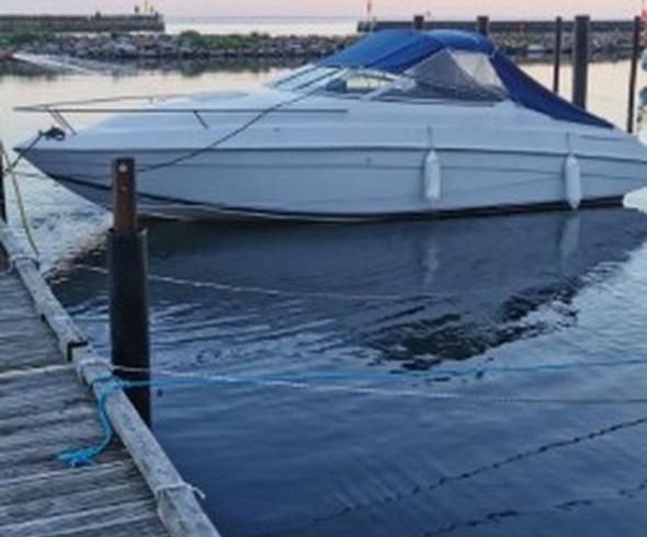 Chris Craft 228 Concept