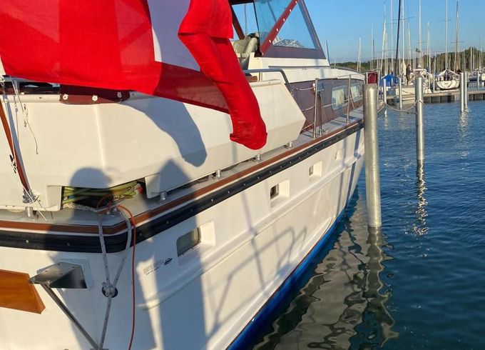 Cytra Ambassador 36