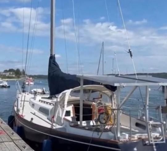 Pearson 36