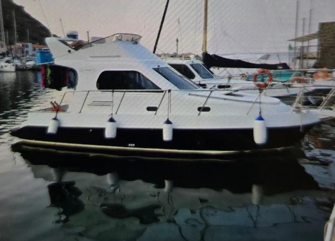 Nautica Po Sea world 31