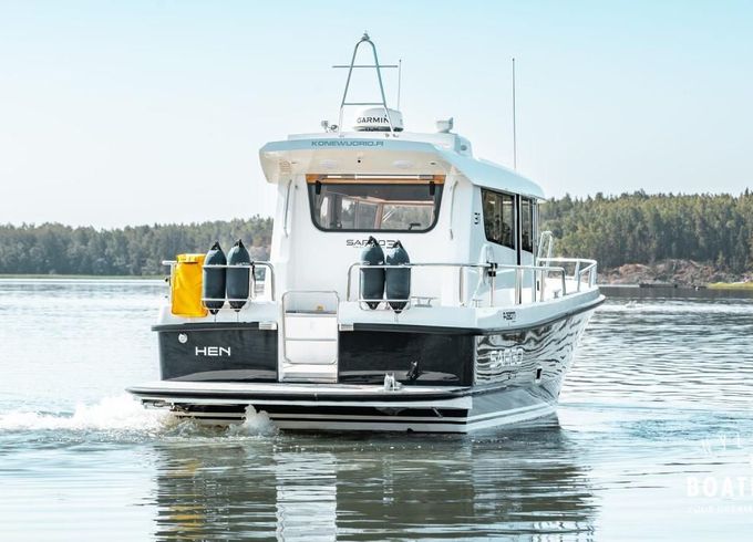 Sargo 31