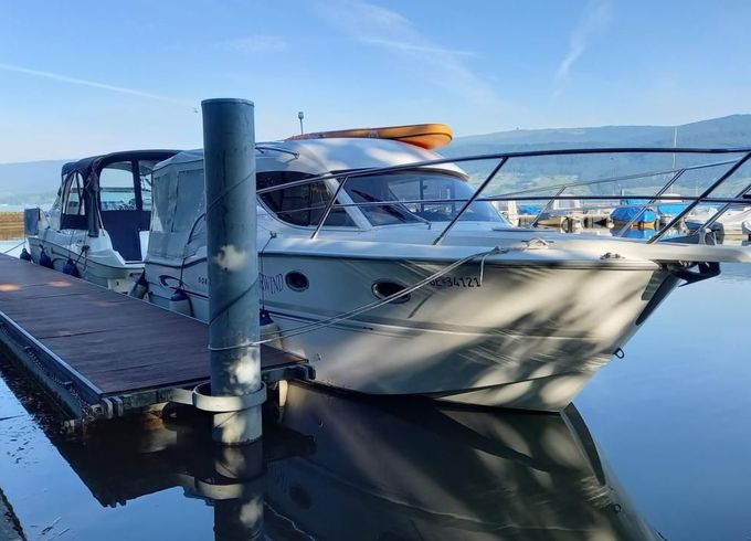 Sessa Dorado 26