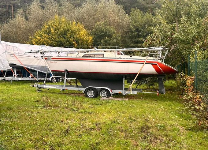 Neptun 23