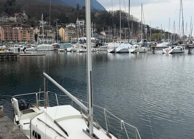 Korneuburg Shark 24