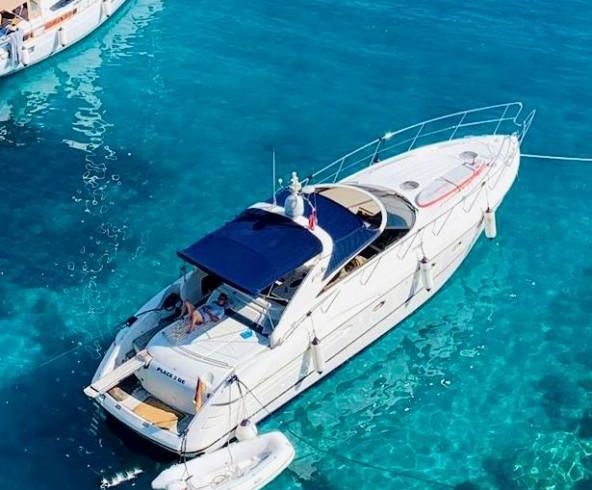 Princess V 50