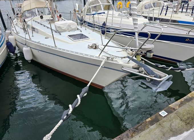 Forgus 35