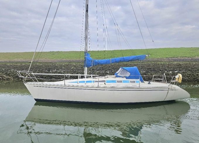 Elan 33