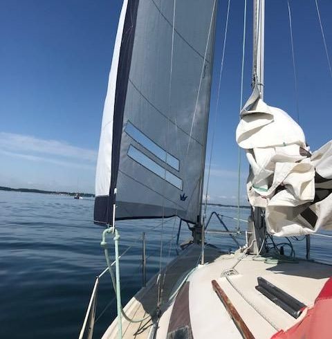 Dehlya 25