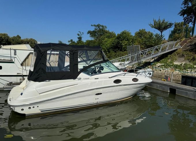 Sea Ray 245 Sundancer