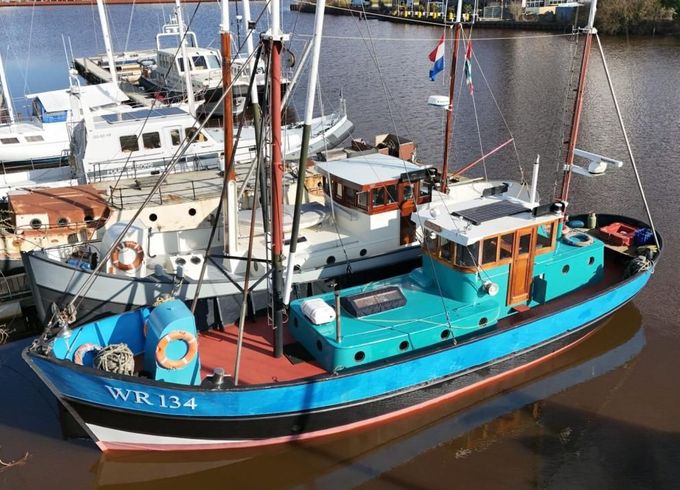 Noordzeekotter  ‘WR 134’